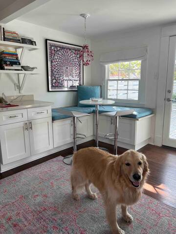 Ideal home for Tulane parents + Mardi Gras gallery image 4