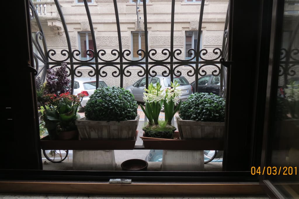 Window in front of Via Nullo