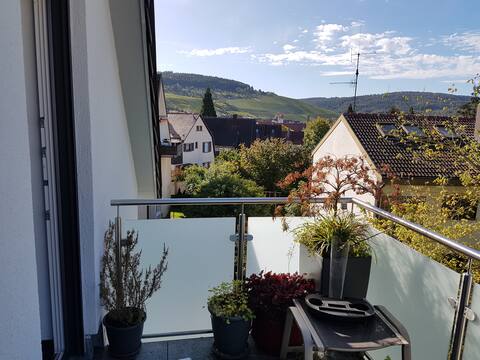 Mod. DG apartment 3.5Zi 
80 sqm balcony.
Disinfected!