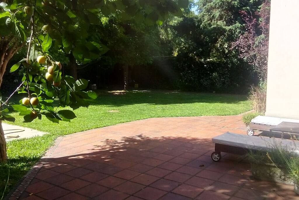 Vista del jardín y patio delantero.
