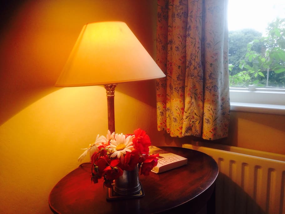 Bedside table and view to garden