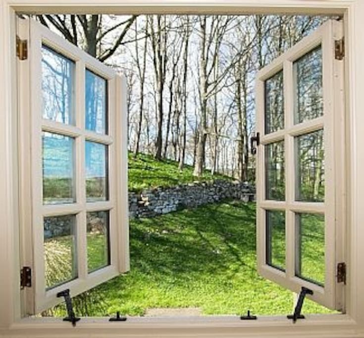 The Bothy Bedroom looks out over it's own private garden