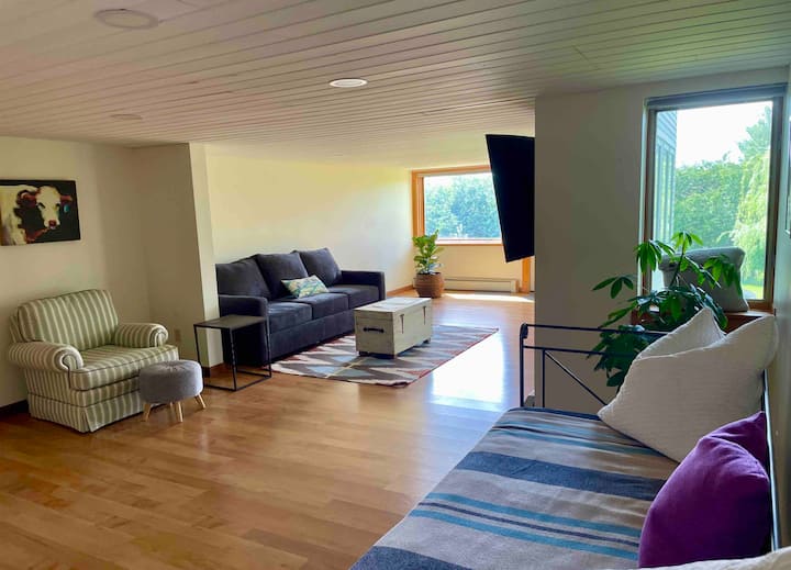 Sebule iliyo na kitanda kimoja cha mchana na sofa ya kulala ya malkia. 