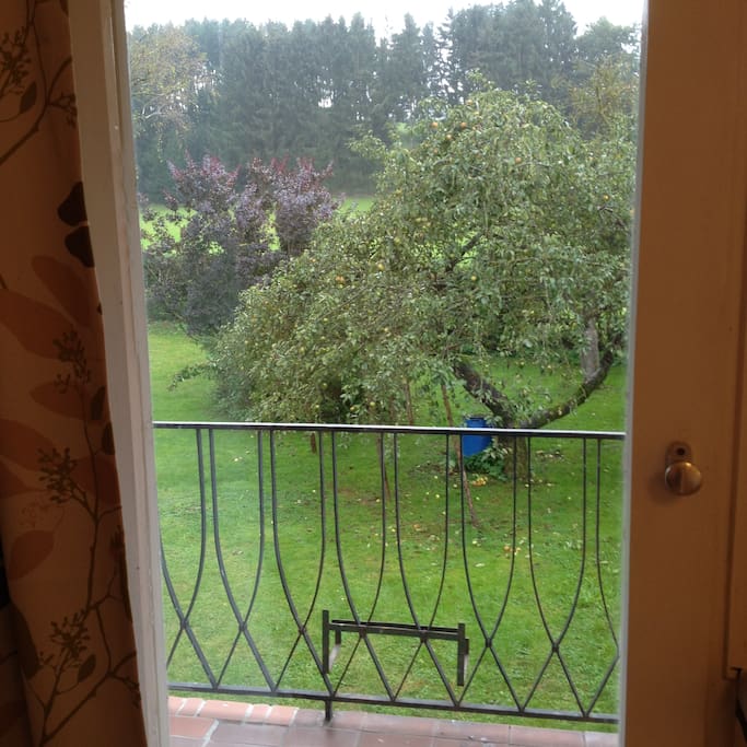 Garden view (from master bedroom & kitchen / dining room)