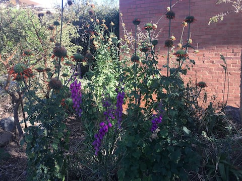 Secure apartment in popular area