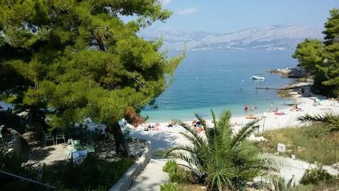Top performing Airbnb: The House of Barun in Škrip
