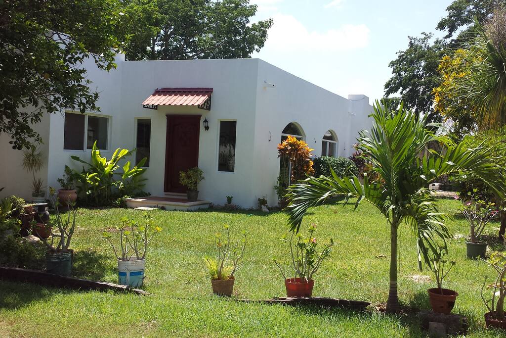 Find Rooms For Rent Merida Mexico Find Rooms For Rent Merida Mexico