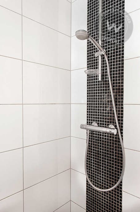 The Shower. There is also a bath tub next to it with a jacuzzi function