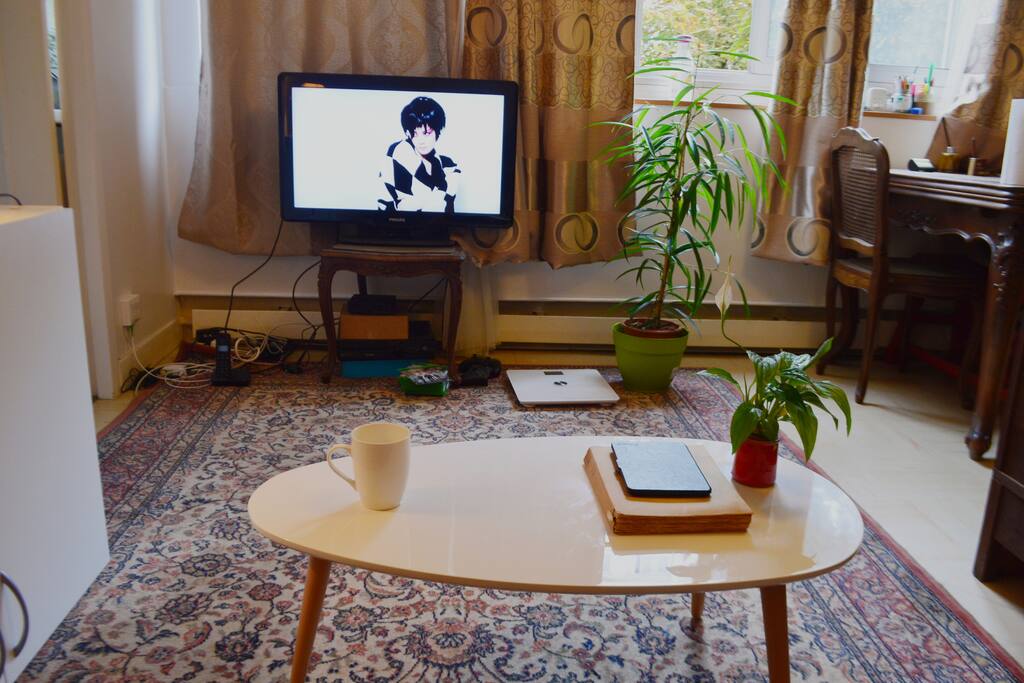 Mini Salon