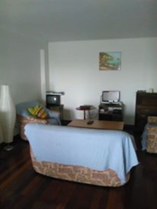 Living Room/ Sala de Estar