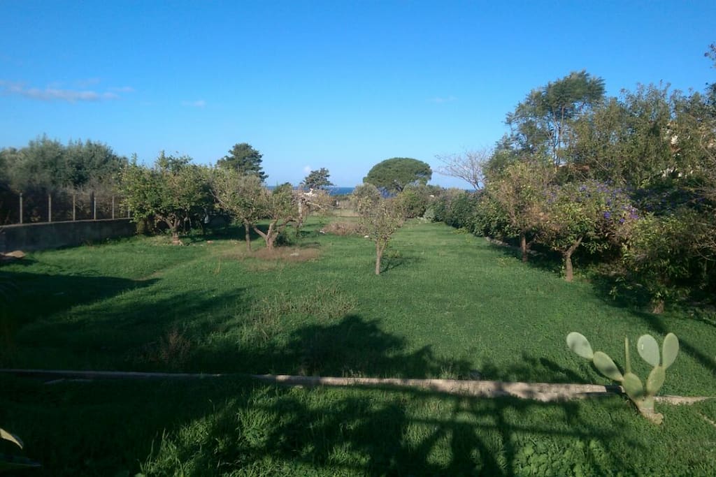 Garden (1,500 squared meters) with fruits and vegetables to pick up