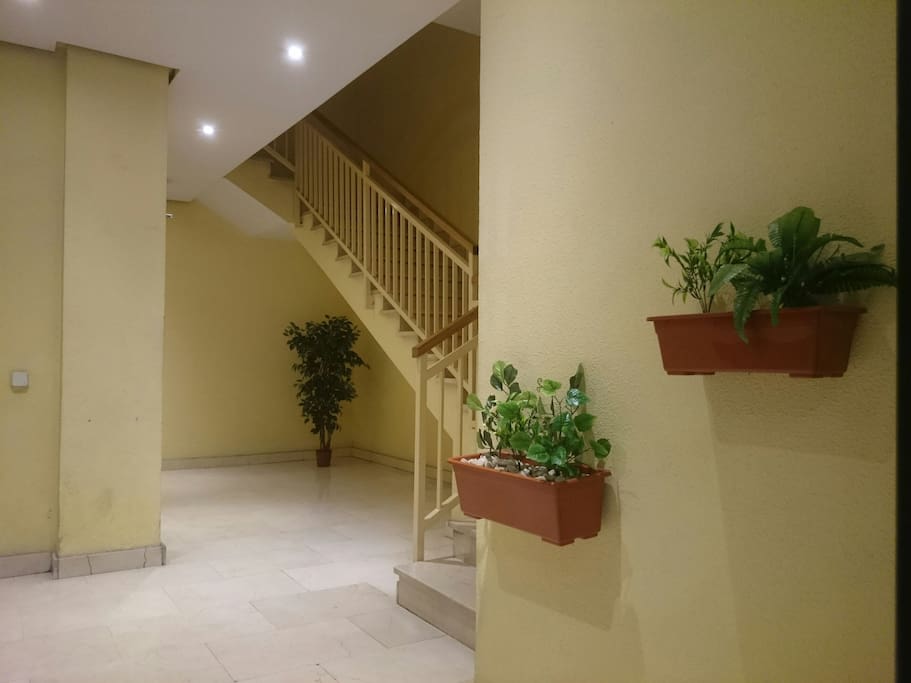 Apartment entrance and lift / stairs