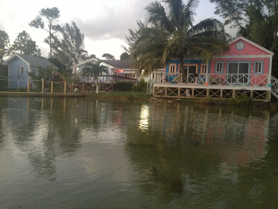 The lake view