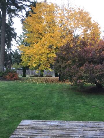 Airbnb Orting Vacation Rentals Places To Stay Washington