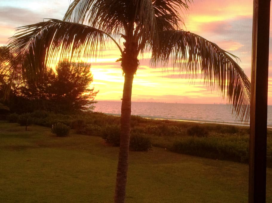 Morning view from the picture window