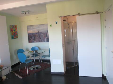 MODERNO ESTUDIO MUY CERCA DE LORO PARQUE