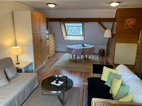 Rosenbusch apartment - green, close to the city and trade fairs