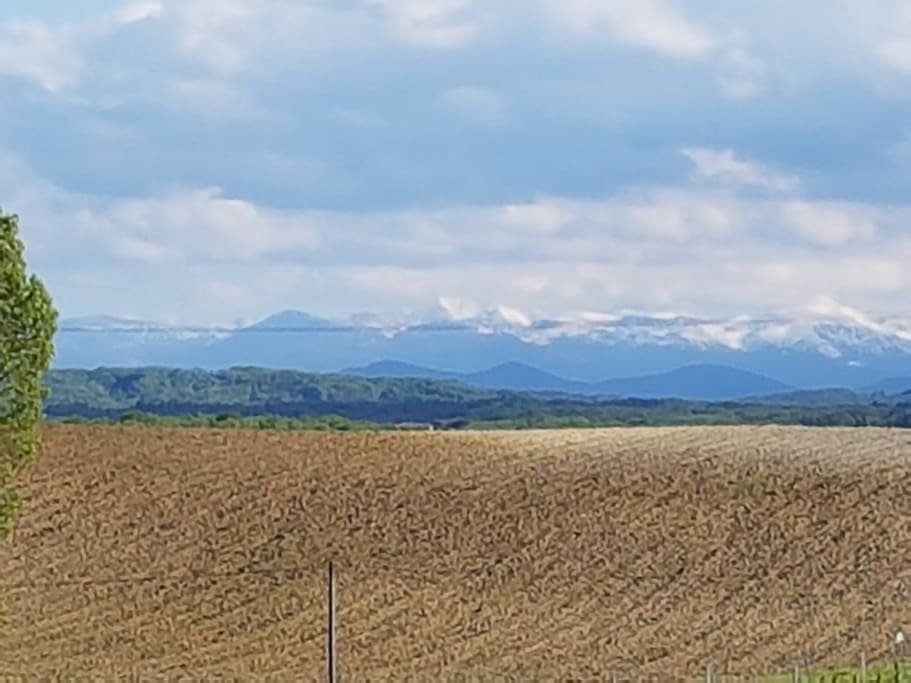 Pyrenees