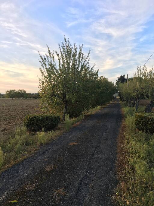 Allée qui arrive à la maison