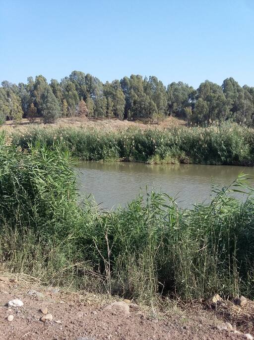 On the Jordan river