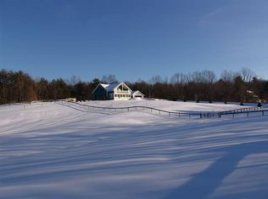 View from the edge of the property