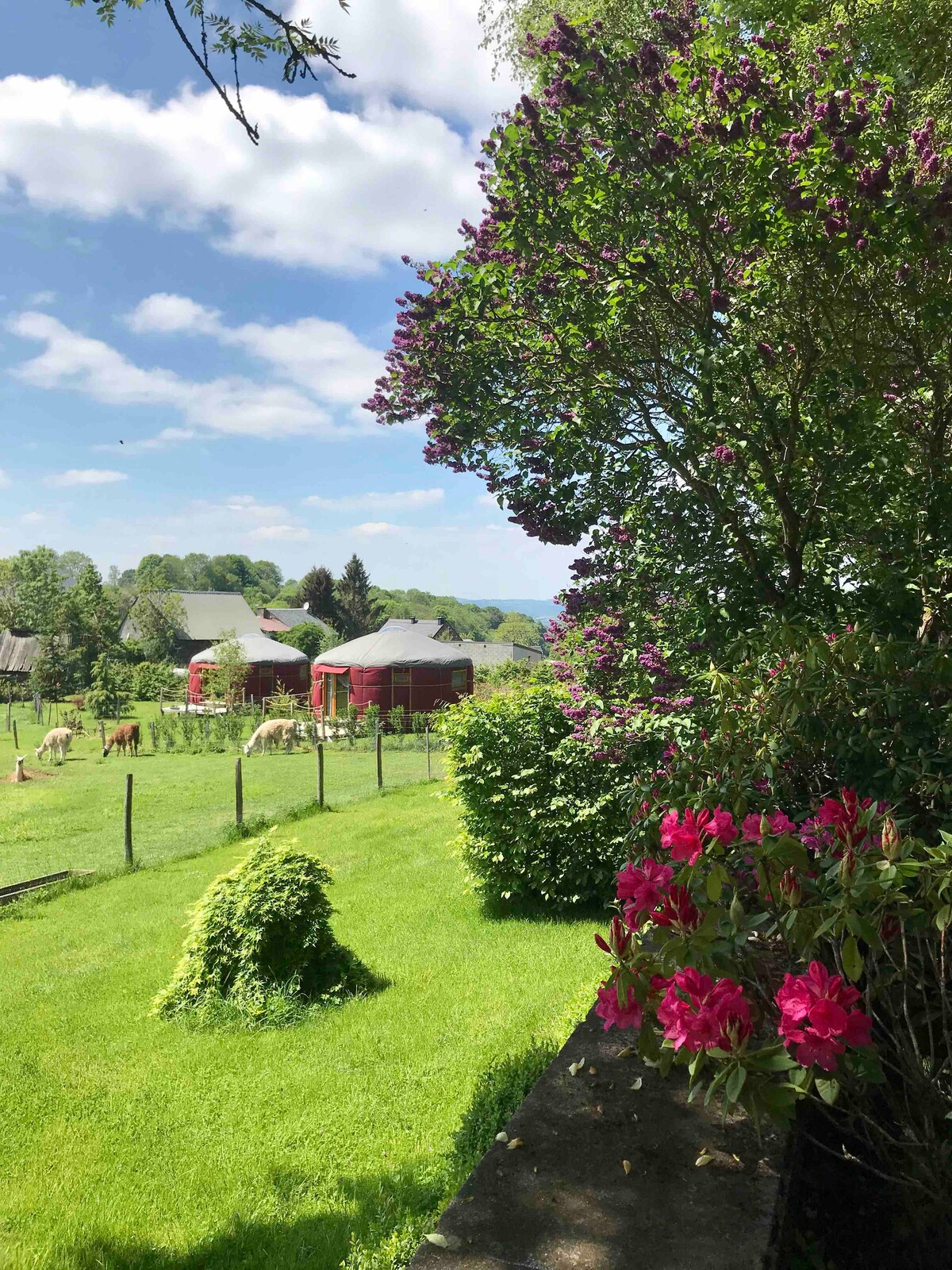 A serene landscape features lush green grass and vibrant flowers in bloom. In the background, red barns are partially visible among the trees, while fields extend gently beyond. A clear blue sky with scattered clouds enhances the peaceful rural setting.