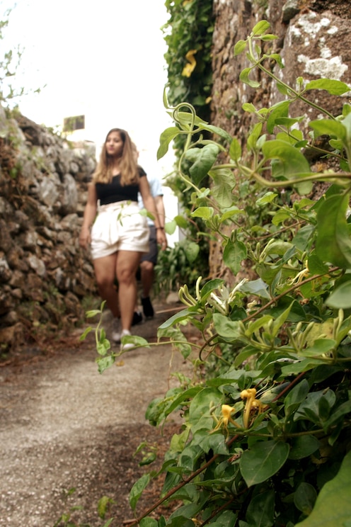 Show full-screen, host-provided image