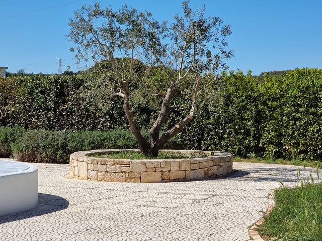 I trulli di nonno Ernesto gallery image 4