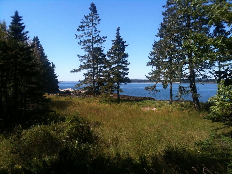 View from cabin