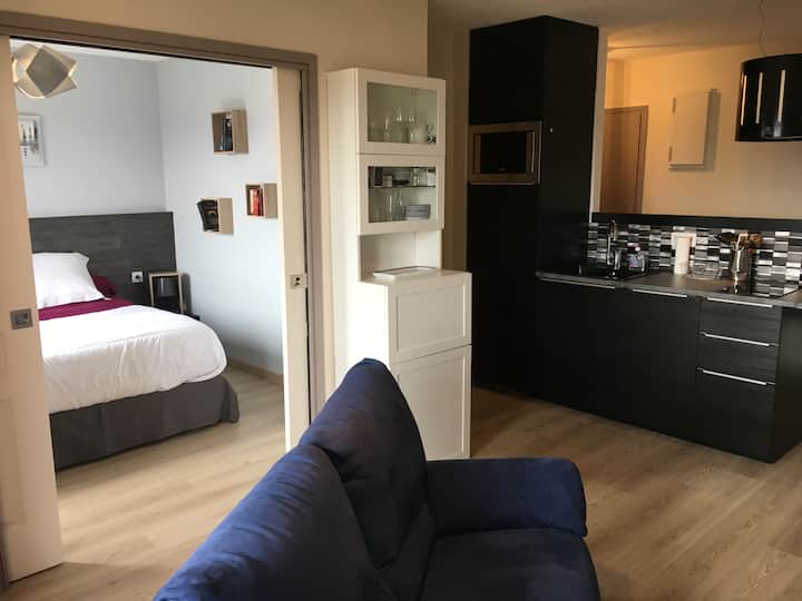 FerneyVoltaire Vacation Rentals & Homes AuvergneRhôneAlpes, France