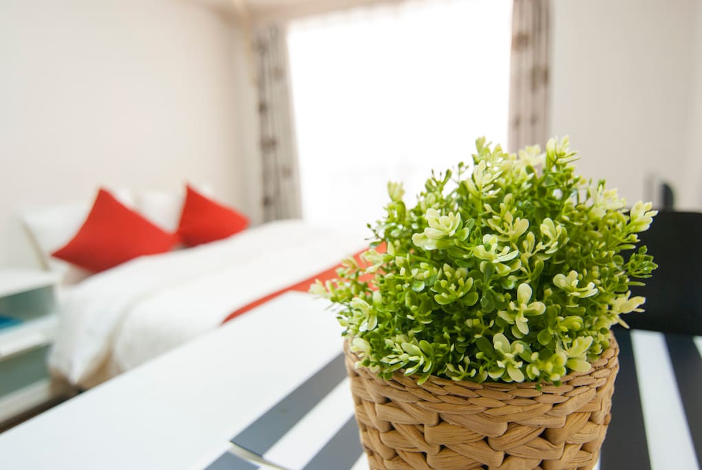 A little green to spice up the room