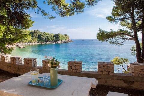 Five Bedroom Villa on Peljesac- American Owner