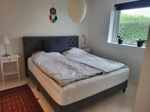 Beautiful villa close to Copenhagen