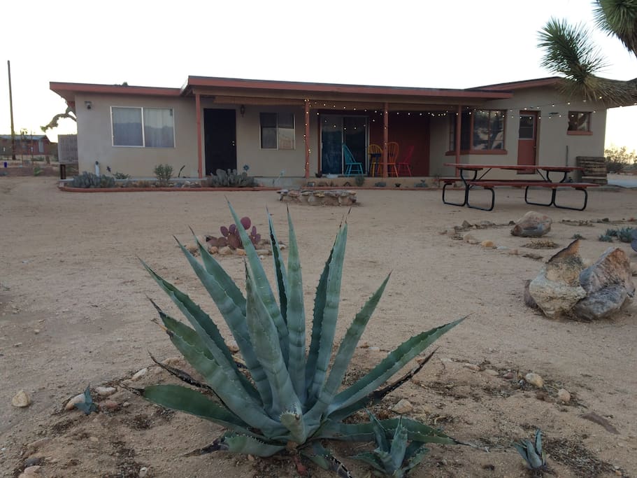 The front yard, at sunset, with mature agaves, a beautiful firepit and space to dine al fresco.