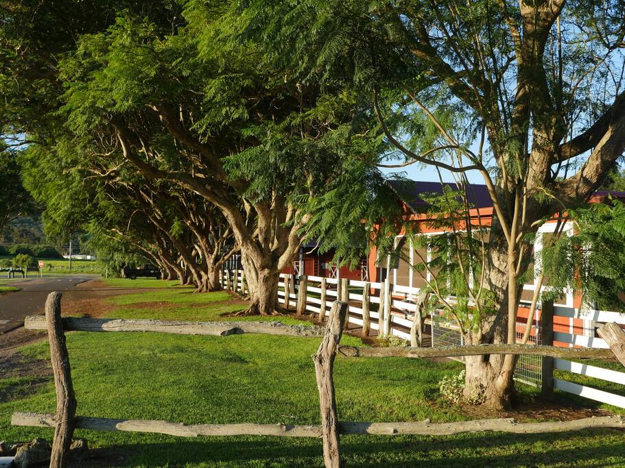 Weds market right outside from your home