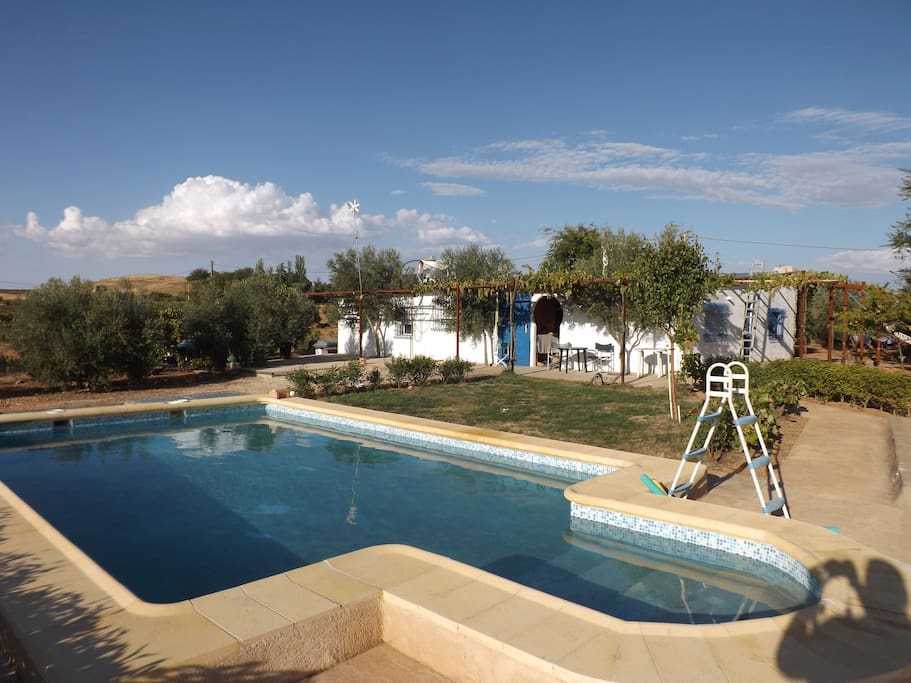 'Splash' the pool
