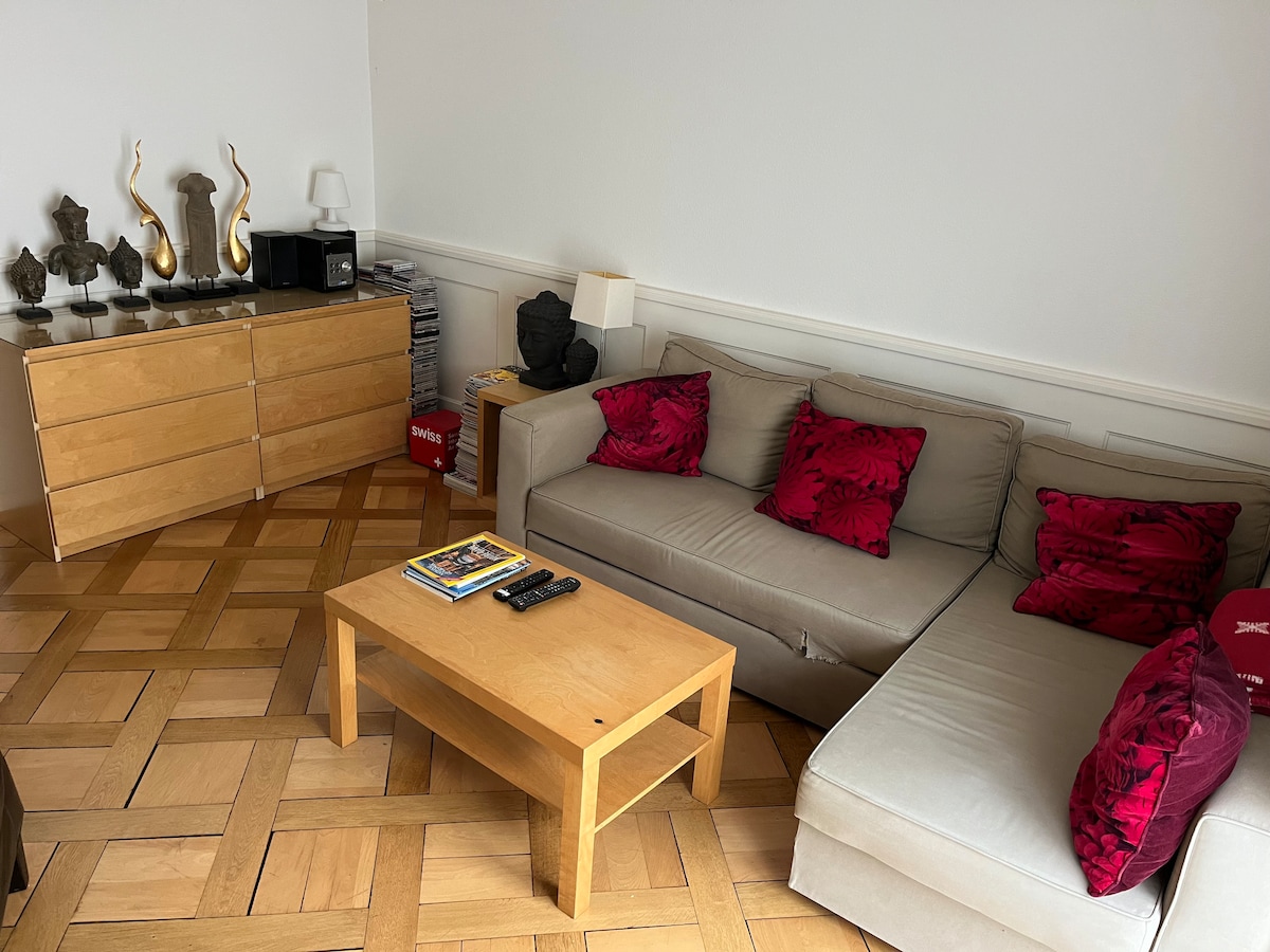Popular Airbnb listing: Nice Apartment in Zurich Great Location in Wipkingen