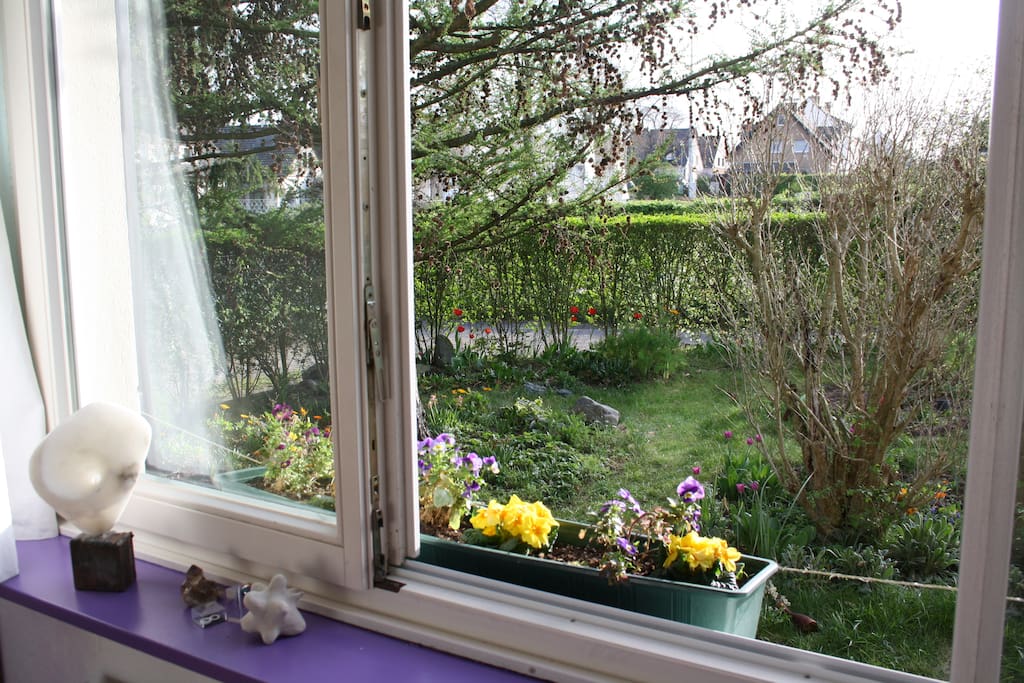 a nice garden view