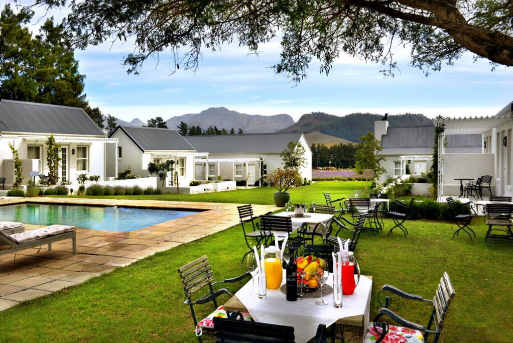 Breakfast by the Pool