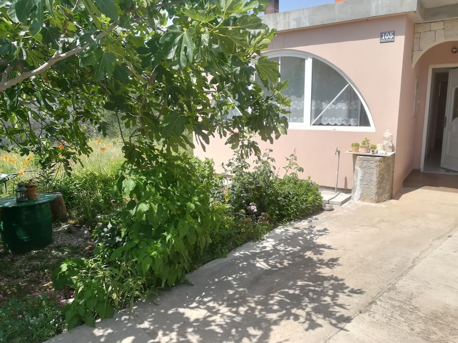 Prednji vrt i dvorište