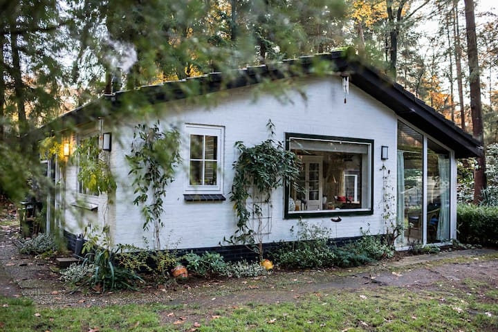 Private Forest Cottage with Hot Tub and Fireplace