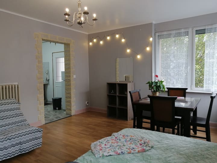 Dépendance Cosy Et éQuipée à Schiltigheim - Strassburg