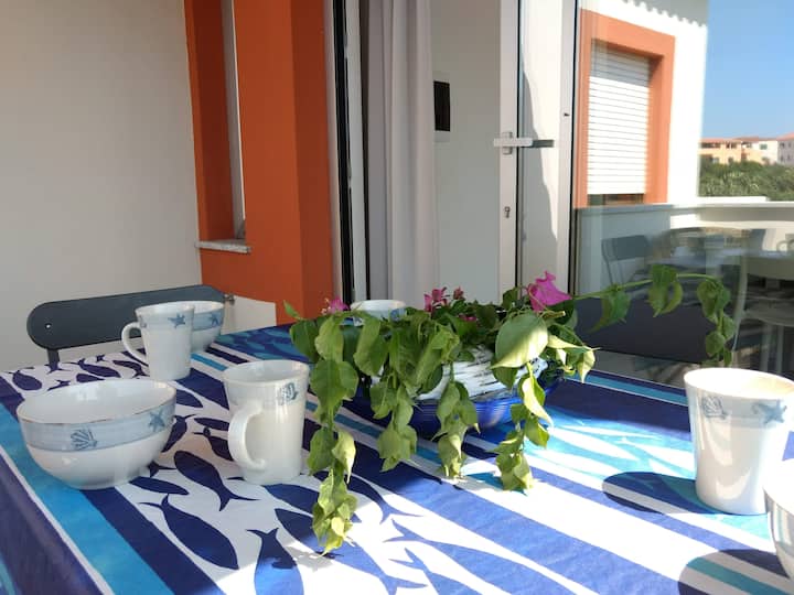 Palau Lentiscus Apartments for Rent in Palau, Sardinia