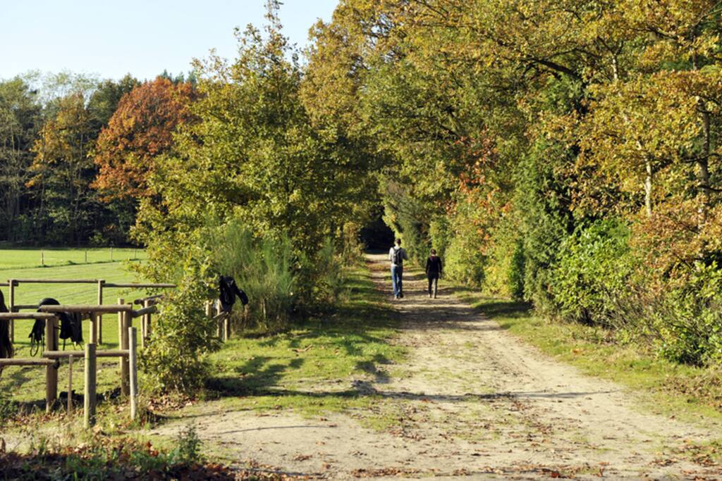 De natuurpoort, recht aan het pad langs het huisje.