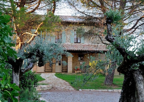 Amaizing villa for 12 people.