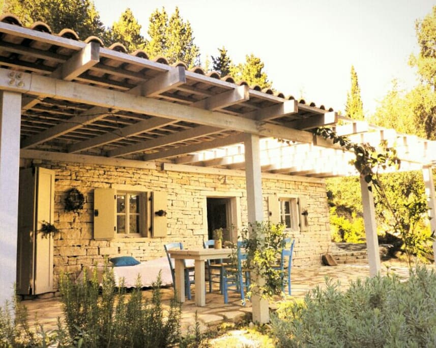 The house.
