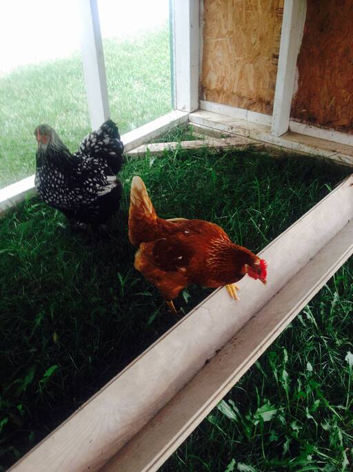 Koelsch Farm Homestead Cottage Houses for Rent in Metamora