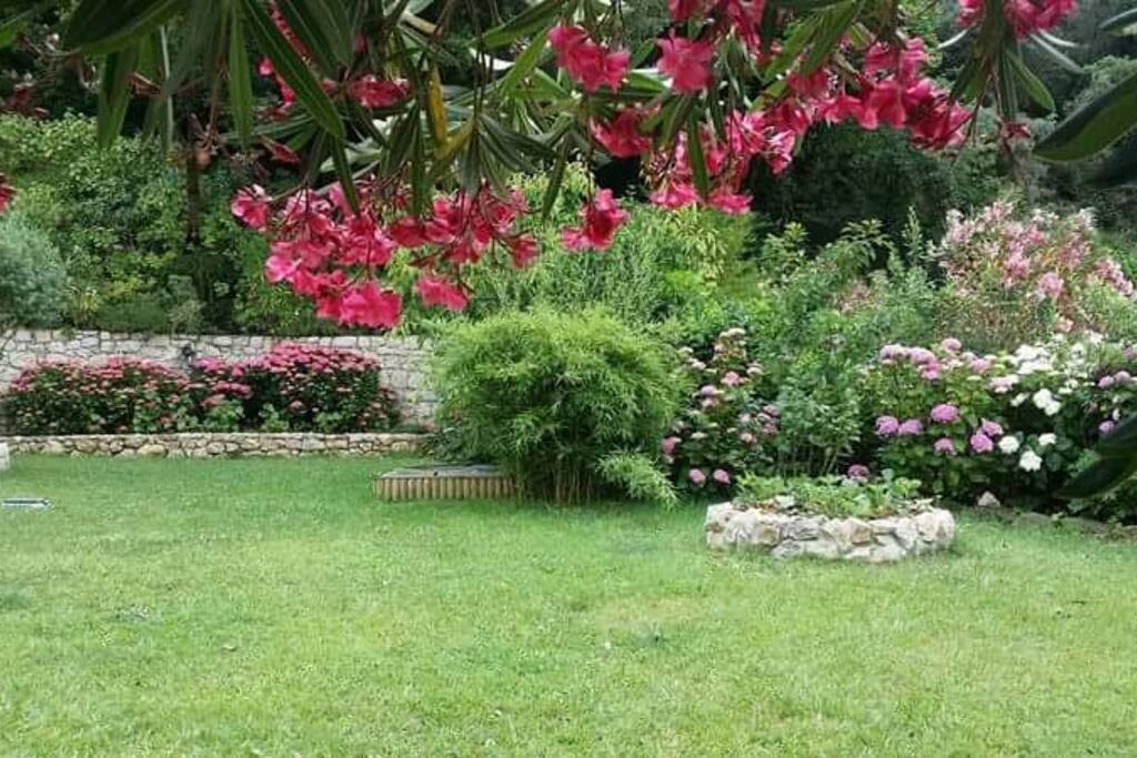 Jardin