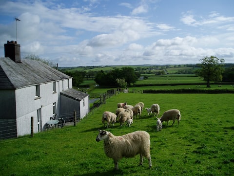 Spacious cottage Tamar Valley on the main road
