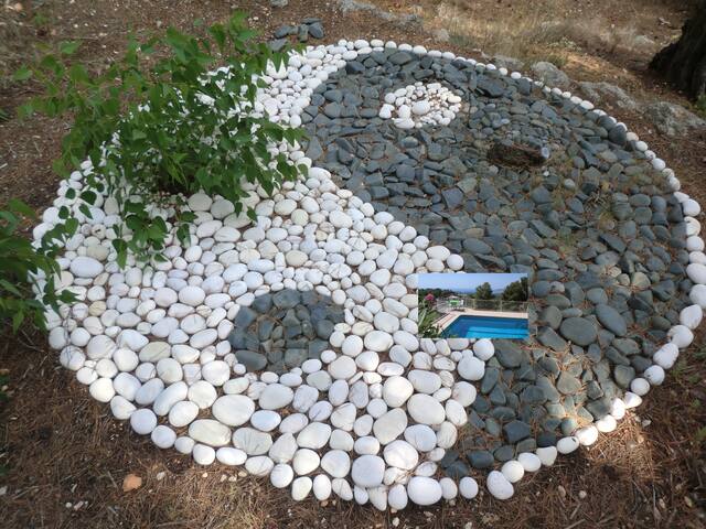 Zimmer mit Pool und Aussicht :)